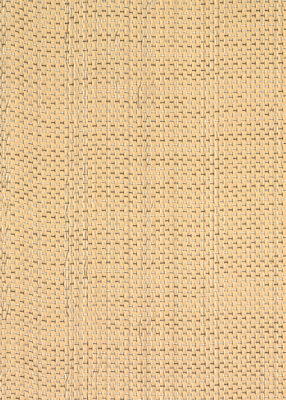 202